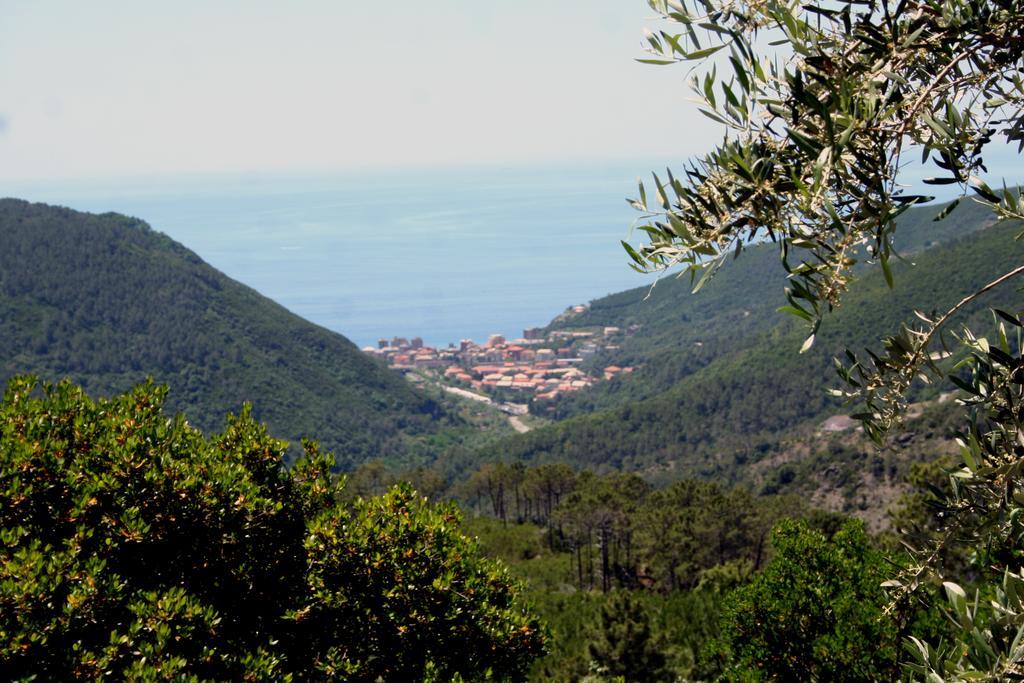 Hotel 5 Terre Nel Sole Deiva Marina Εξωτερικό φωτογραφία