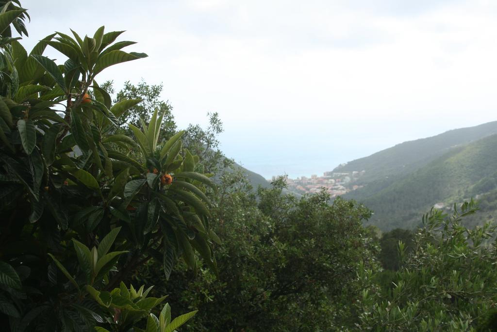 Hotel 5 Terre Nel Sole Deiva Marina Εξωτερικό φωτογραφία