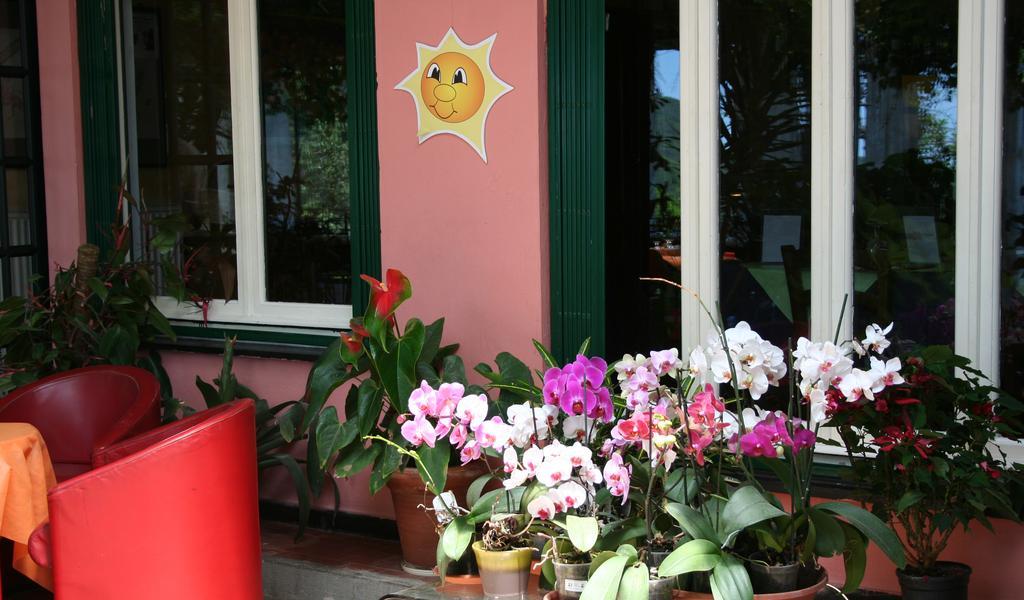 Hotel 5 Terre Nel Sole Deiva Marina Εξωτερικό φωτογραφία